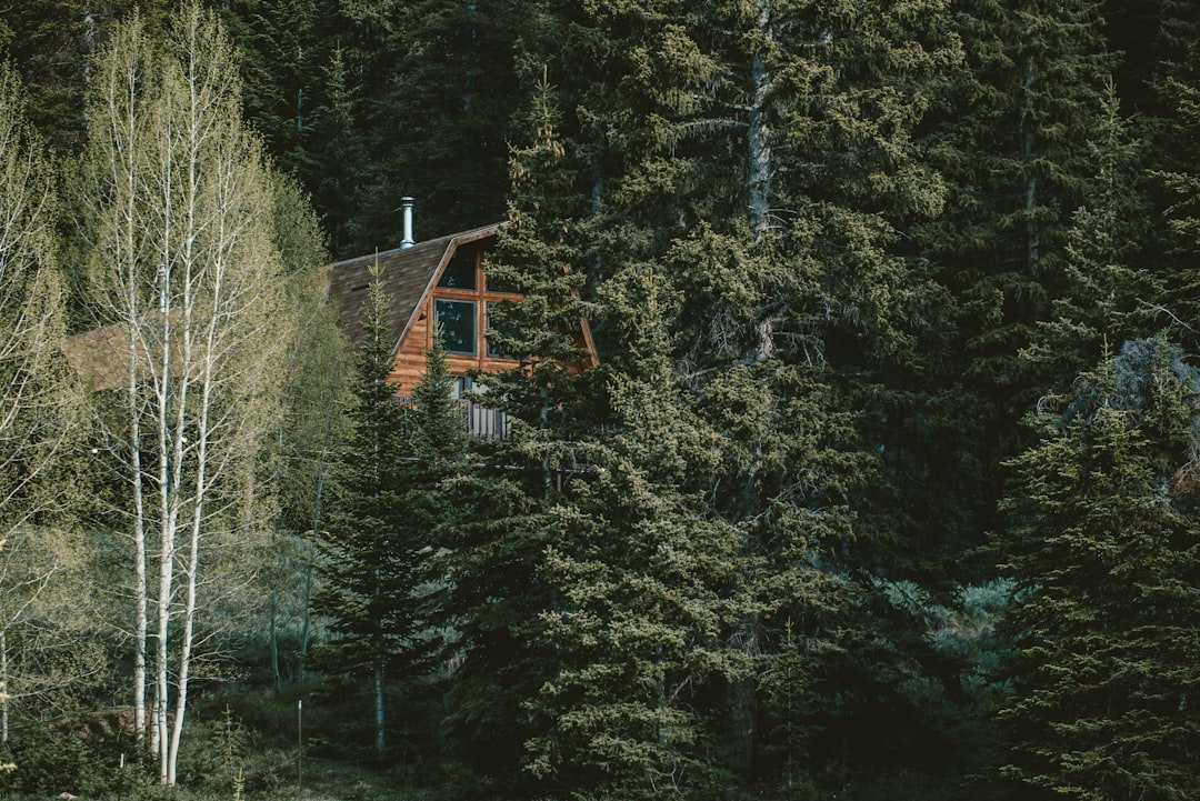 Photo Home Builder Gresham Oregon