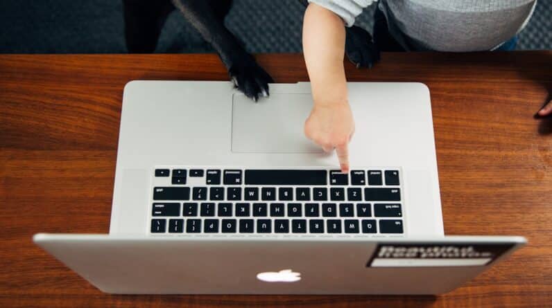 Photo Remote Jobs