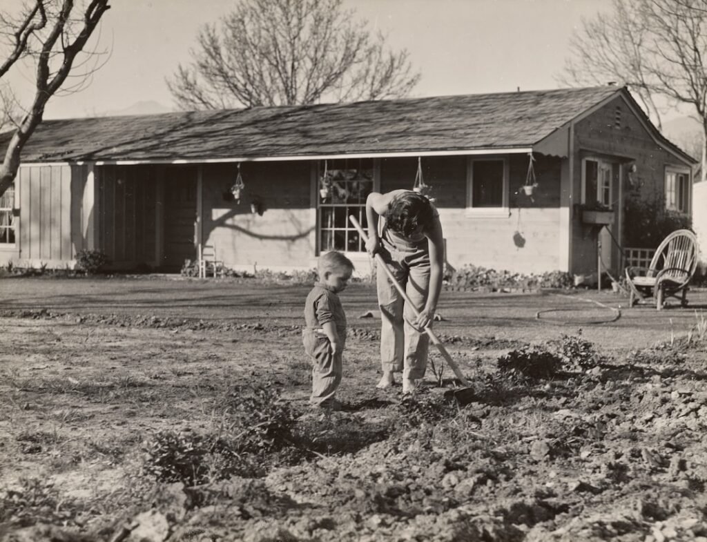 Photo Home Builder Fort Collins