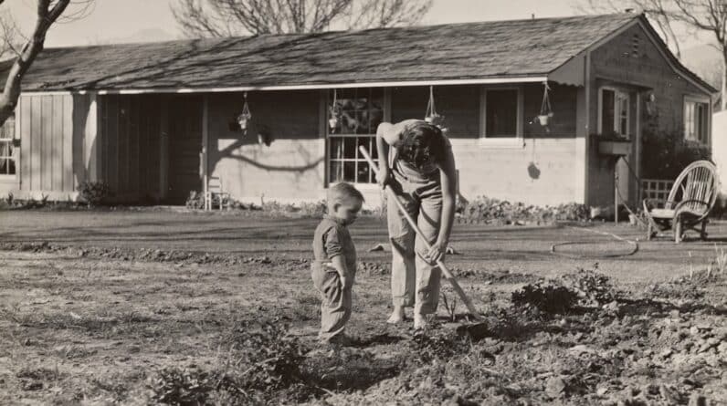 Photo Home Builder Fort Collins