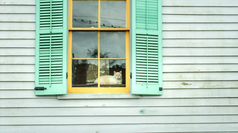 Photo Home Builder Tuscaloosa Alabama