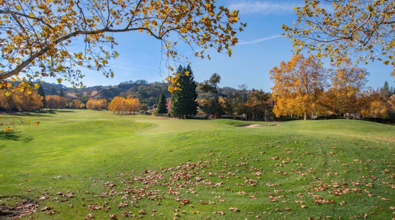 Photo Custom House Builder