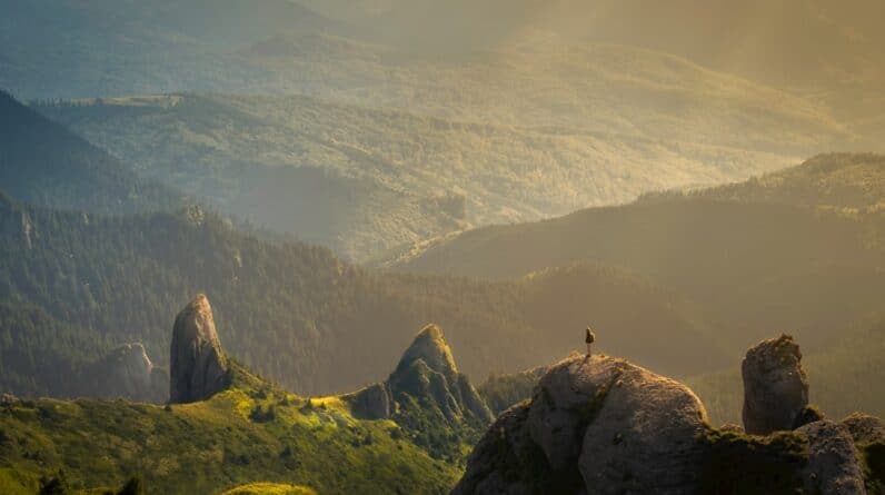 Photo Custom House Construction