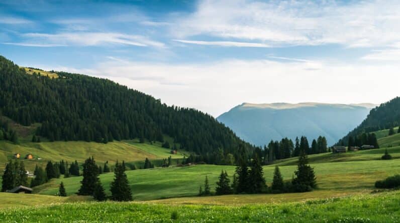 Photo Luxury Home Builder Services Gilbert Az